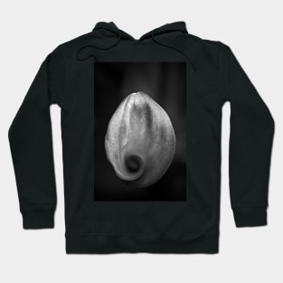 the tempestuous calm Hoodie